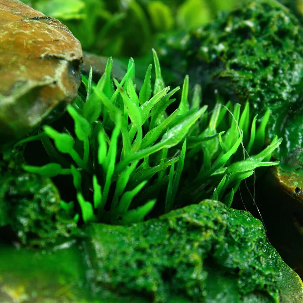 Rockery Fountain Waterfall Feng Shui Desktop Atomizing Humidifier Indoor Desk