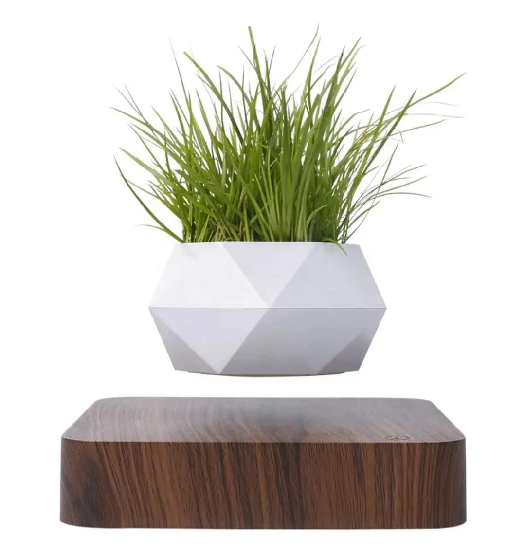 Magnetic Floating Planter with Levitating Air Plant, Geometric White Pot and Dark Wood Base
