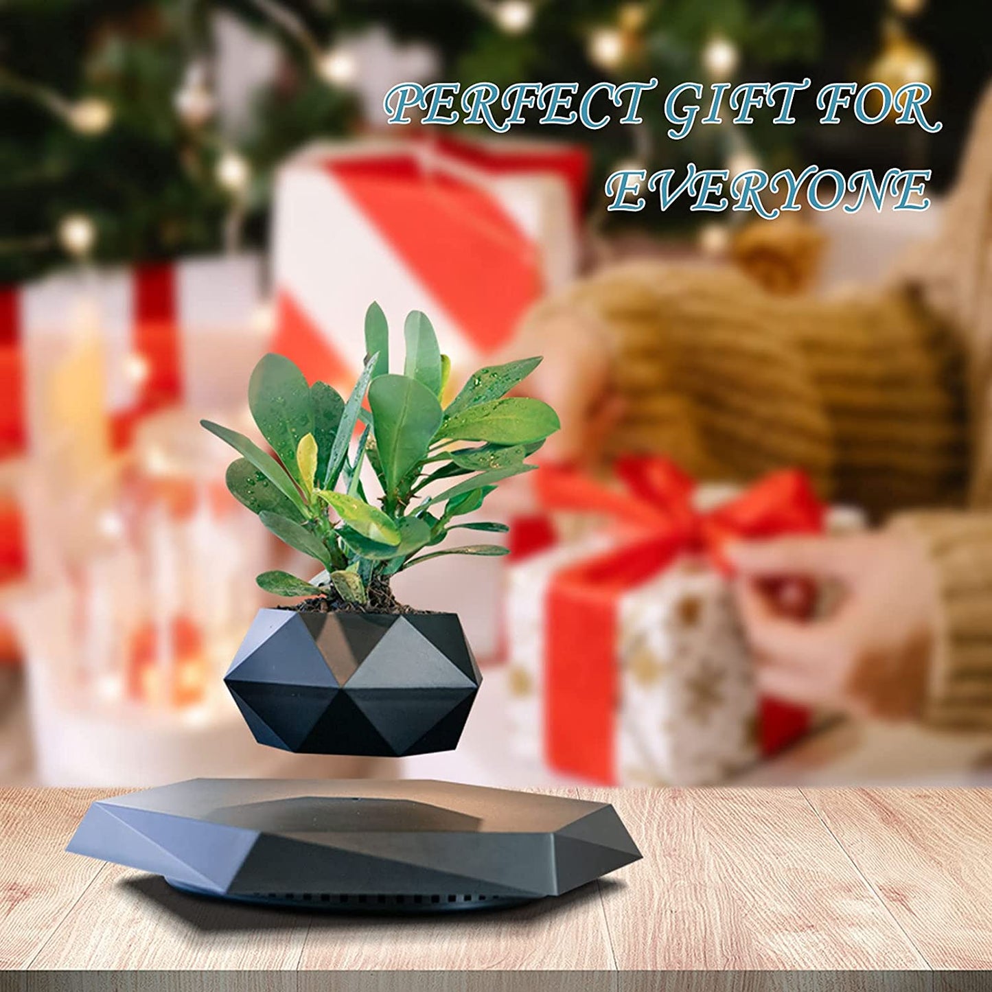 Magnetic Levitation Plant Pot - Rotating Floating Planter for Home and Office Decor (Black)