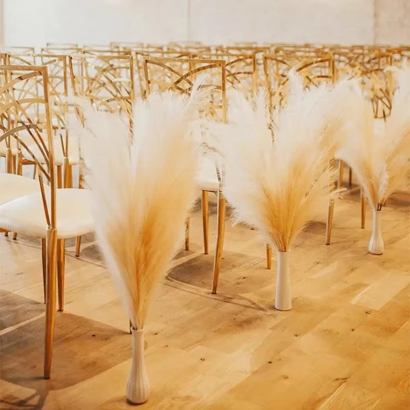 Transform your space with our Fluffy Tall Pampas Grass! Perfect for Boho vibes, bedroom decor, and unforgettable weddings or Christmas parties! 🌾✨ #HomeDecor #BohoStyle