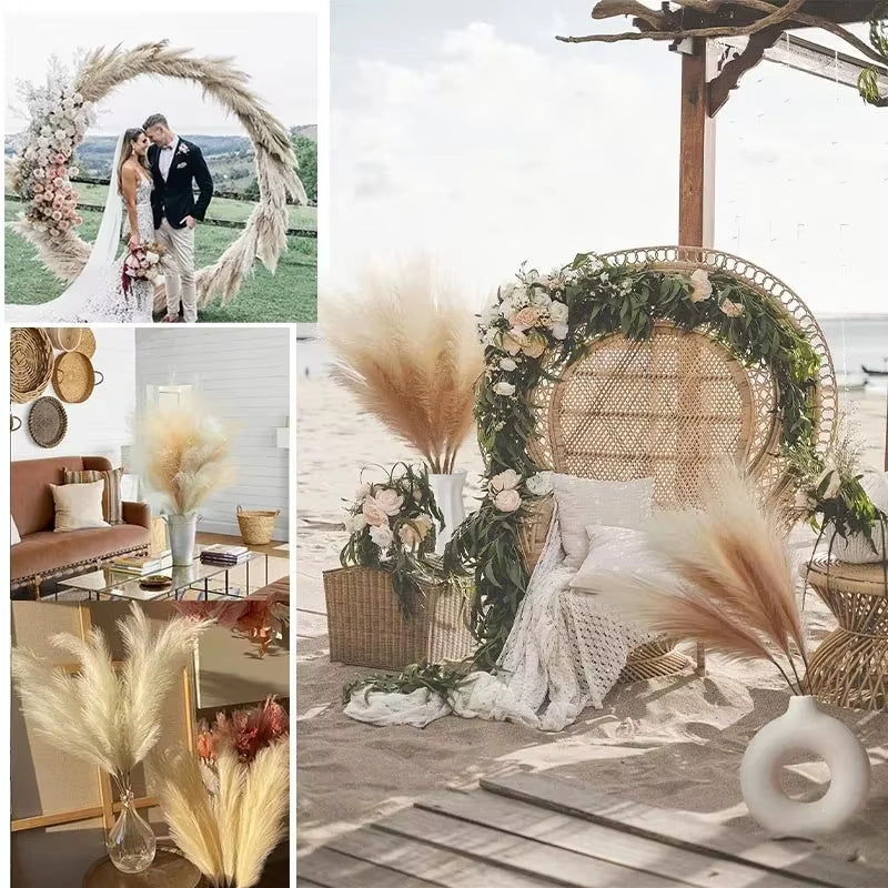 Transform your space with our Fluffy Tall Pampas Grass! Perfect for Boho vibes, bedroom decor, and unforgettable weddings or Christmas parties! 🌾✨ #HomeDecor #BohoStyle