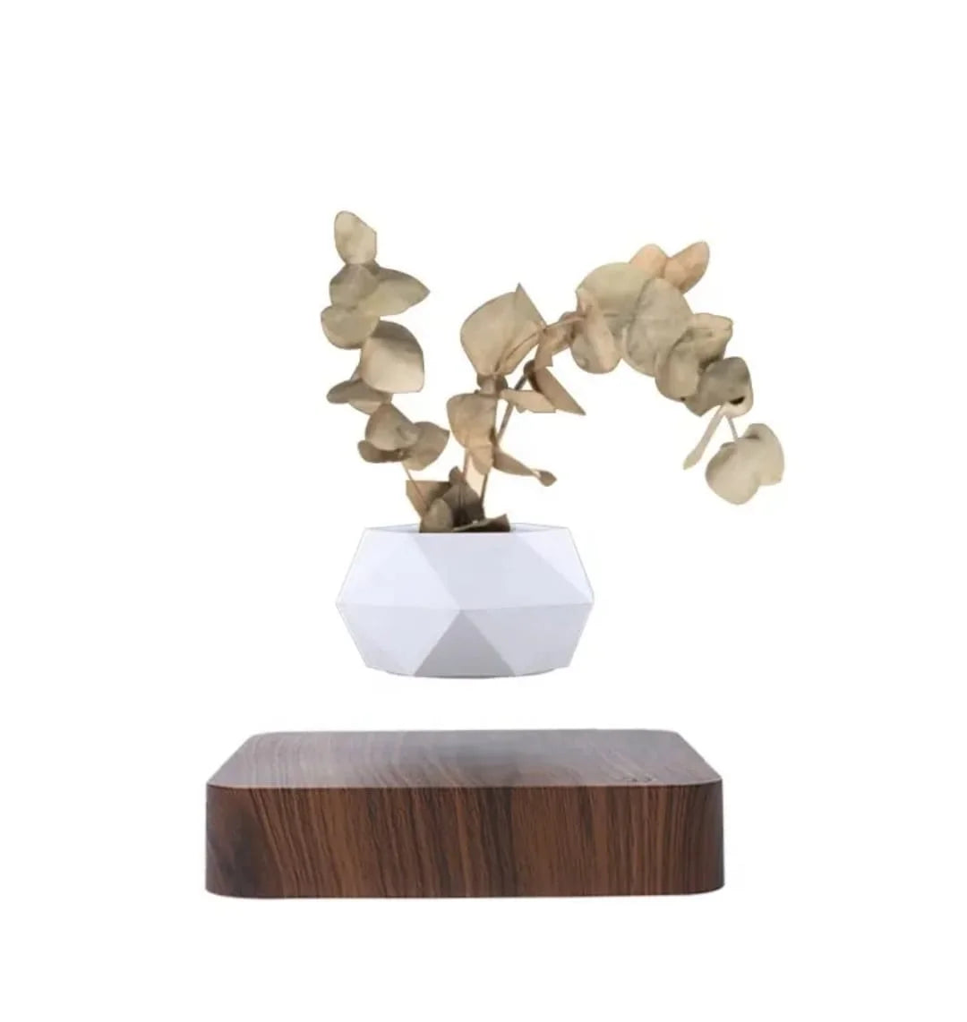 Magnetic Floating Planter with Levitating Air Plant, Geometric White Pot and Dark Wood Base