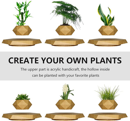 Magnetic Levitating Bonsai Pot - Rotating Floating Planter for Succulents and Decorative Plants, Ideal for Home and Office (Wood Finish)