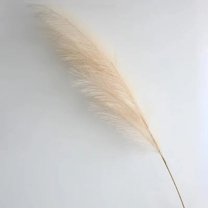 Transform your space with our Fluffy Tall Pampas Grass! Perfect for Boho vibes, bedroom decor, and unforgettable weddings or Christmas parties! 🌾✨ #HomeDecor #BohoStyle