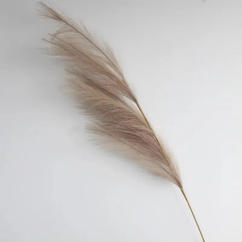 Transform your space with our Fluffy Tall Pampas Grass! Perfect for Boho vibes, bedroom decor, and unforgettable weddings or Christmas parties! 🌾✨ #HomeDecor #BohoStyle