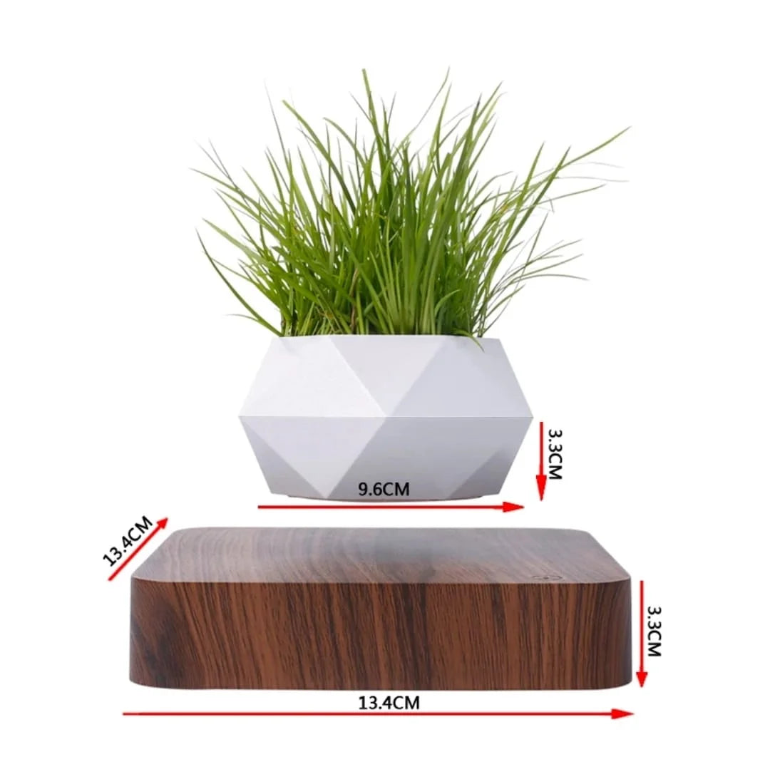Magnetic Floating Planter with Levitating Air Plant, Geometric White Pot and Dark Wood Base