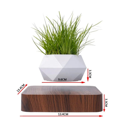 Magnetic Floating Planter with Levitating Air Plant, Geometric White Pot and Dark Wood Base
