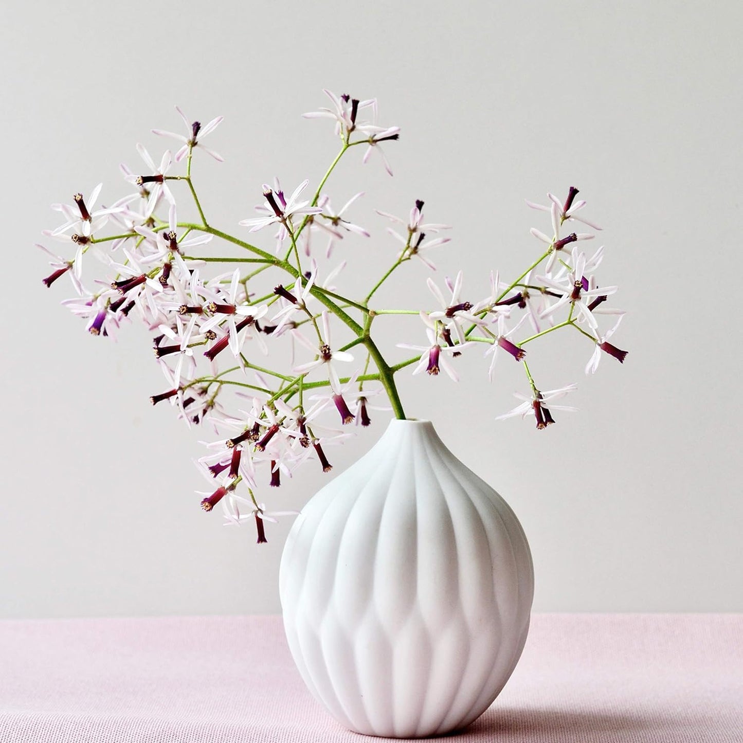 Elevate Your Space with This Chic Matte White Petite Ribbed Bud Vase! 🌿✨
