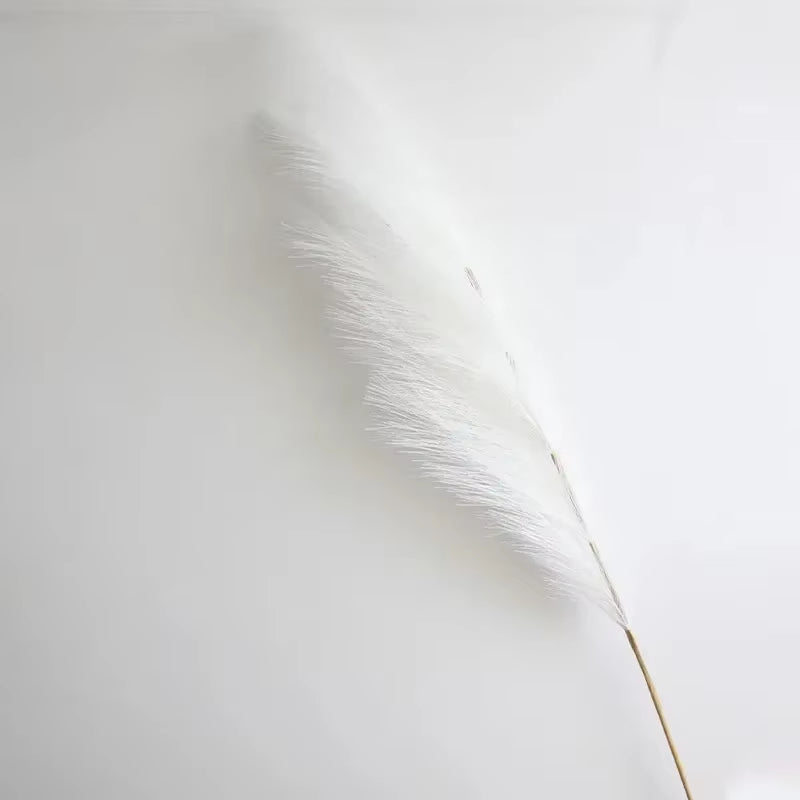 Transform your space with our Fluffy Tall Pampas Grass! Perfect for Boho vibes, bedroom decor, and unforgettable weddings or Christmas parties! 🌾✨ #HomeDecor #BohoStyle