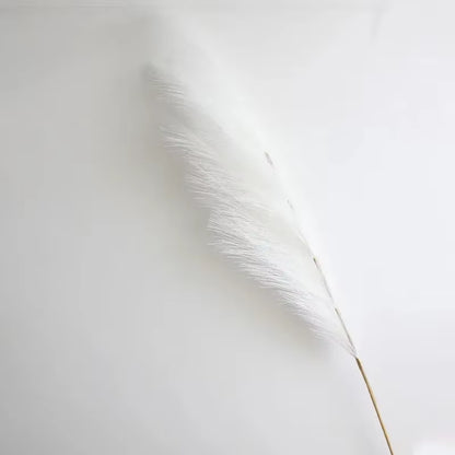 Transform your space with our Fluffy Tall Pampas Grass! Perfect for Boho vibes, bedroom decor, and unforgettable weddings or Christmas parties! 🌾✨ #HomeDecor #BohoStyle