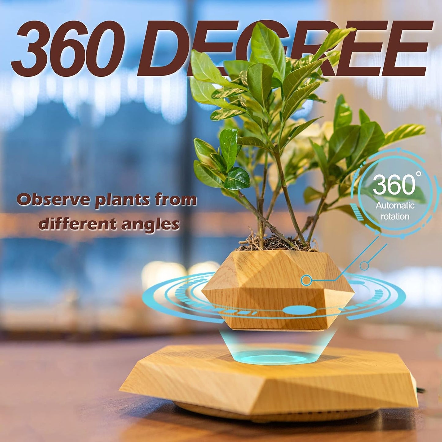 Magnetic Levitating Bonsai Pot - Rotating Floating Planter for Succulents and Decorative Plants, Ideal for Home and Office (Wood Finish)