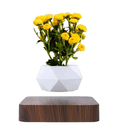 Magnetic Floating Planter with Levitating Air Plant, Geometric White Pot and Dark Wood Base