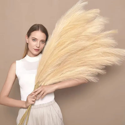 Transform your space with our Fluffy Tall Pampas Grass! Perfect for Boho vibes, bedroom decor, and unforgettable weddings or Christmas parties! 🌾✨ #HomeDecor #BohoStyle