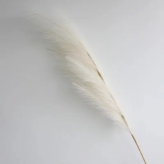 Transform your space with our Fluffy Tall Pampas Grass! Perfect for Boho vibes, bedroom decor, and unforgettable weddings or Christmas parties! 🌾✨ #HomeDecor #BohoStyle