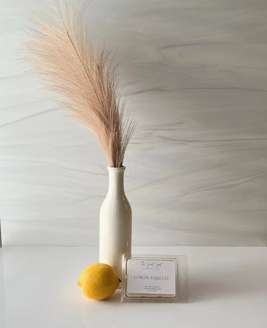 Citrus Infused Wax Melts - Lemon Squeeze Fragrance