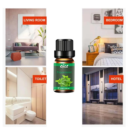 Revitalize Your Space with Our Natural Essential Oils Blend: Eucalyptus, Vanilla, Citronella, Rosemary, Peppermint & Lemongrass