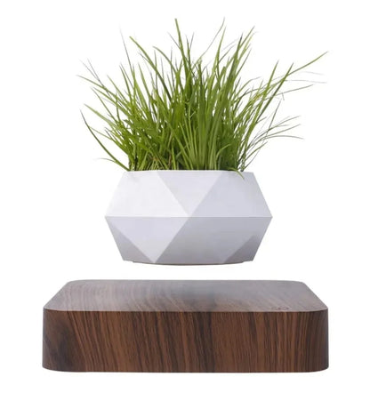 Magnetic Floating Planter with Levitating Air Plant, Geometric White Pot and Dark Wood Base
