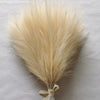 Transform Your Space with 10 Pcs Fluffy Artificial Pampas Grass - Perfect for Birthdays, Weddings, and DIY Home Decor! 🌾✨