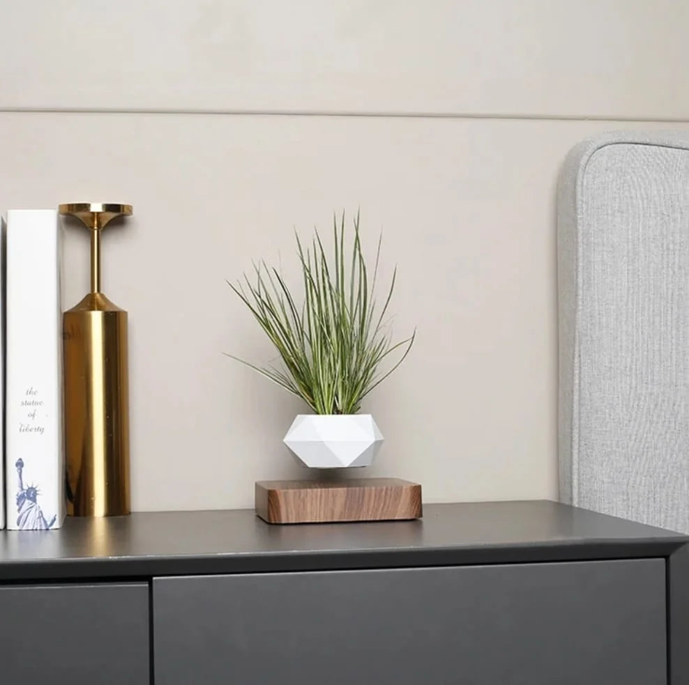 Magnetic Floating Planter with Levitating Air Plant, Geometric White Pot and Dark Wood Base