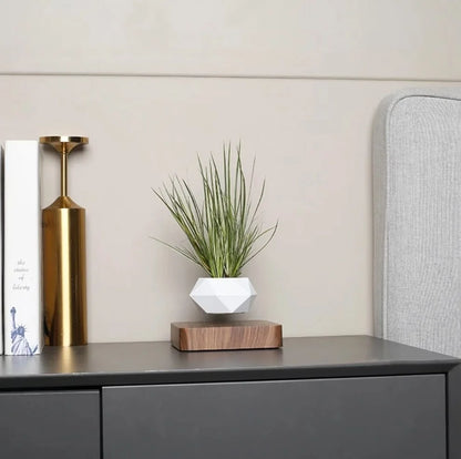 Magnetic Floating Planter with Levitating Air Plant, Geometric White Pot and Dark Wood Base