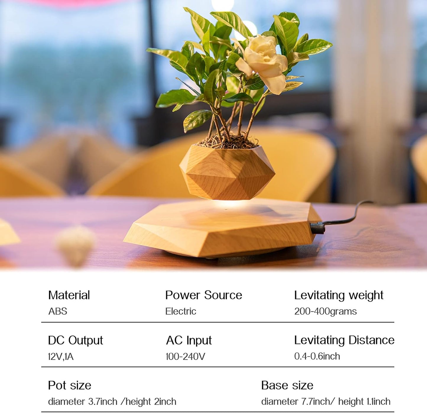 Magnetic Levitating Bonsai Pot - Rotating Floating Planter for Succulents and Decorative Plants, Ideal for Home and Office (Wood Finish)