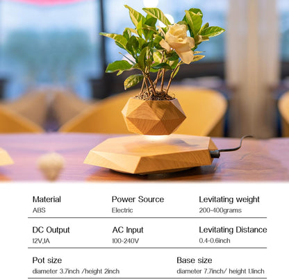 Magnetic Levitating Bonsai Pot - Rotating Floating Planter for Succulents and Decorative Plants, Ideal for Home and Office (Wood Finish)