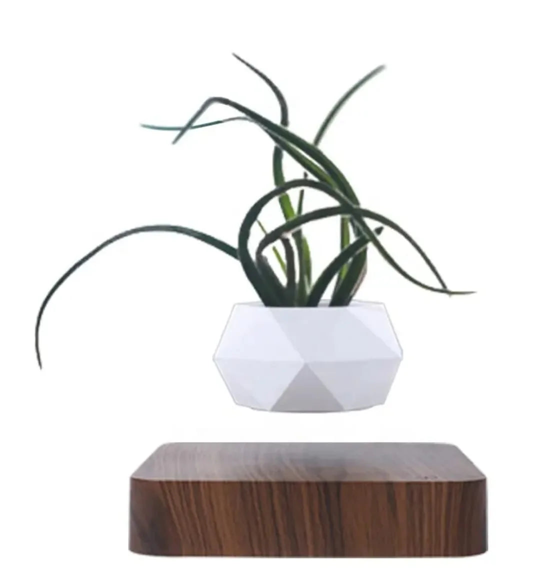 Magnetic Floating Planter with Levitating Air Plant, Geometric White Pot and Dark Wood Base
